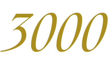 3000